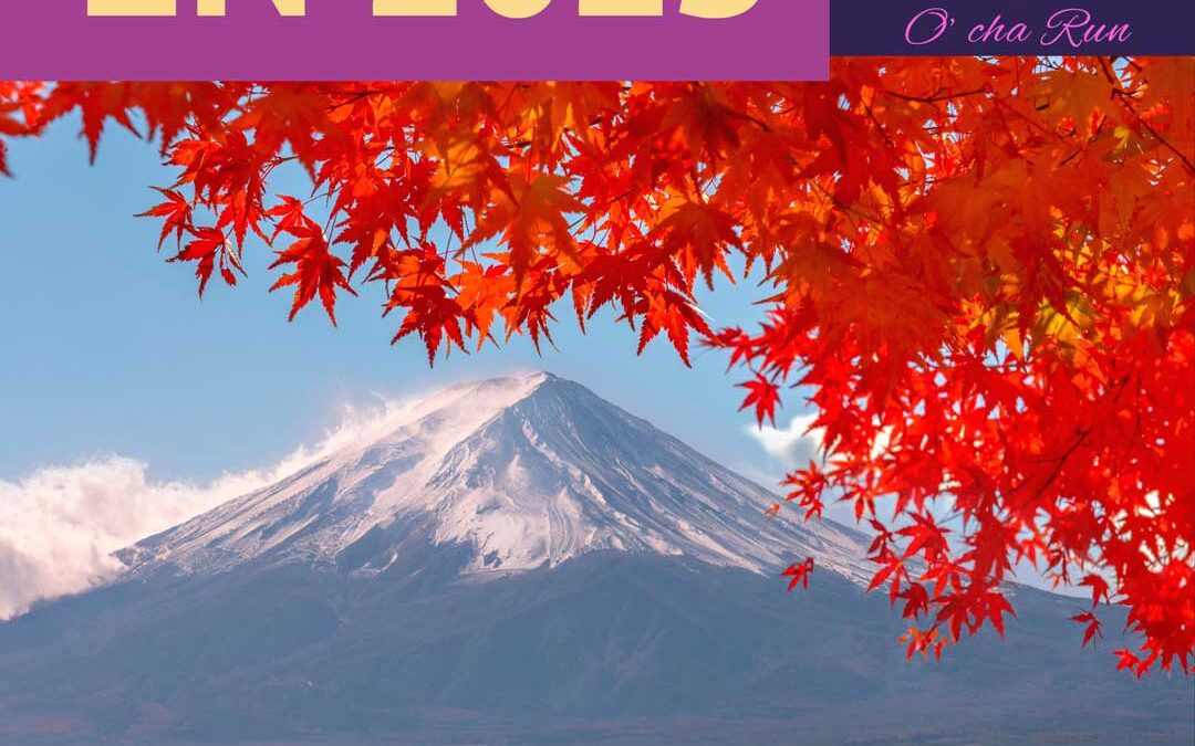 Voyage organisé autour du thé de La Réunion au Japon