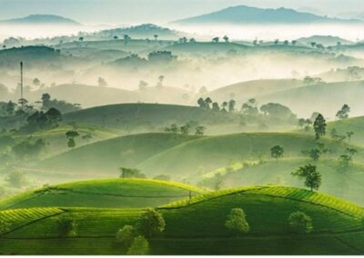 LA ROUTE DU THÉ AU NORD DU VIETNAM 30 Septembre au 14 Octobre 2026